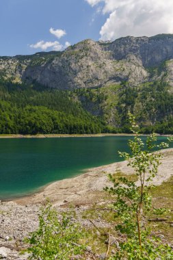 Szkammergut 'ta Gosau yakınlarındaki Avustralya Alplerinde yaz zamanı.