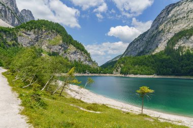 Szkammergut 'ta Gosau yakınlarındaki Avustralya Alplerinde yaz zamanı.