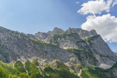 Szkammergut 'ta Gosau yakınlarındaki Avustralya Alplerinde yaz zamanı.