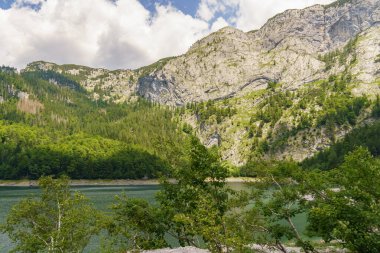 Szkammergut 'ta Gosau yakınlarındaki Avustralya Alplerinde yaz zamanı.