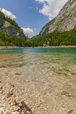 Szkammergut 'ta Gosau yakınlarındaki Avustralya Alplerinde yaz zamanı.