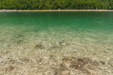 Szkammergut 'ta Gosau yakınlarındaki Avustralya Alplerinde yaz zamanı.