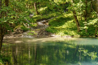 Szkammergut 'ta Gosau yakınlarındaki Avustralya Alplerinde yaz zamanı.