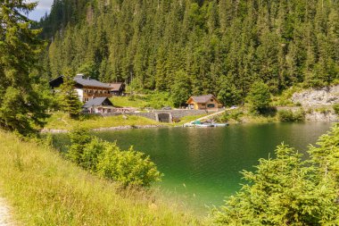 Szkammergut 'ta Gosau yakınlarındaki Avustralya Alplerinde yaz zamanı.
