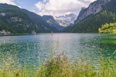Szkammergut 'ta Gosau yakınlarındaki Avustralya Alplerinde yaz zamanı.