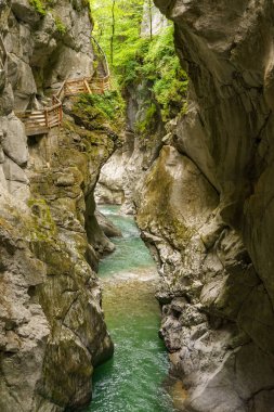 Szkammergut 'ta Gosau yakınlarındaki Avustralya Alplerinde yaz zamanı.