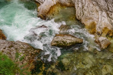 Szkammergut 'ta Gosau yakınlarındaki Avustralya Alplerinde yaz zamanı.