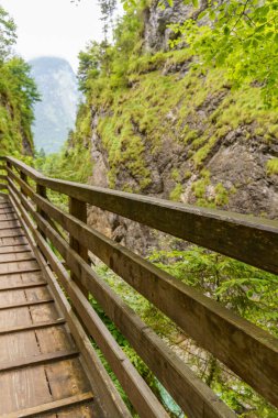 Szkammergut 'ta Gosau yakınlarındaki Avustralya Alplerinde yaz zamanı.