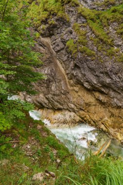 Szkammergut 'ta Gosau yakınlarındaki Avustralya Alplerinde yaz zamanı.