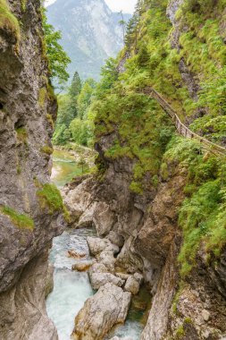 Szkammergut 'ta Gosau yakınlarındaki Avustralya Alplerinde yaz zamanı.