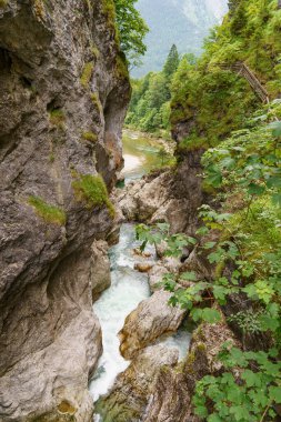 Szkammergut 'ta Gosau yakınlarındaki Avustralya Alplerinde yaz zamanı.