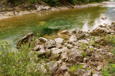 Szkammergut 'ta Gosau yakınlarındaki Avustralya Alplerinde yaz zamanı.