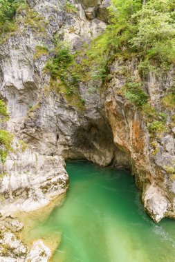 Szkammergut 'ta Gosau yakınlarındaki Avustralya Alplerinde yaz zamanı.