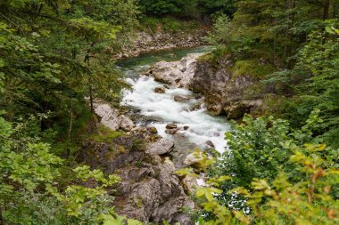 Szkammergut 'ta Gosau yakınlarındaki Avustralya Alplerinde yaz zamanı.