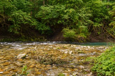 Szkammergut 'ta Gosau yakınlarındaki Avustralya Alplerinde yaz zamanı.