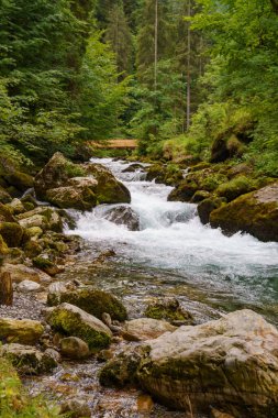 Szkammergut 'ta Gosau yakınlarındaki Avustralya Alplerinde yaz zamanı.