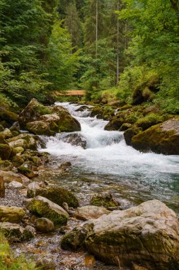 Szkammergut 'ta Gosau yakınlarındaki Avustralya Alplerinde yaz zamanı.