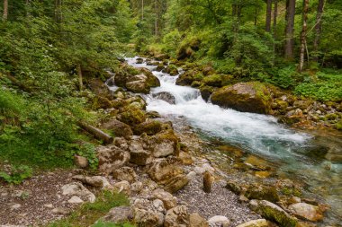 Szkammergut 'ta Gosau yakınlarındaki Avustralya Alplerinde yaz zamanı.