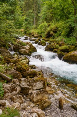 Szkammergut 'ta Gosau yakınlarındaki Avustralya Alplerinde yaz zamanı.