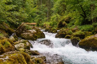 Szkammergut 'ta Gosau yakınlarındaki Avustralya Alplerinde yaz zamanı.