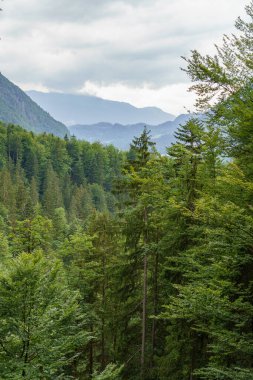 Szkammergut 'ta Gosau yakınlarındaki Avustralya Alplerinde yaz zamanı.