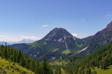 Szkammergut 'ta Gosau yakınlarındaki Avustralya Alplerinde yaz zamanı.