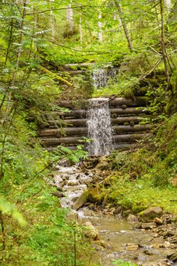 Szkammergut 'ta Gosau yakınlarındaki Avustralya Alplerinde yaz zamanı.