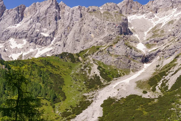 Czas Letni Austriackich Alpach Pobliżu Gosau Salzkammergut — Zdjęcie stockowe