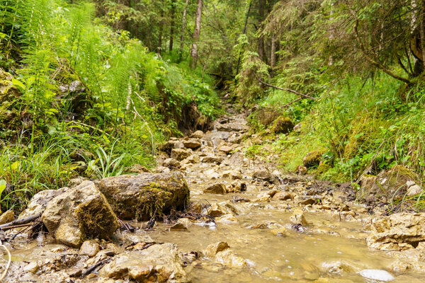 Summer time in the austrian alps near Gosau at the salzkammergut