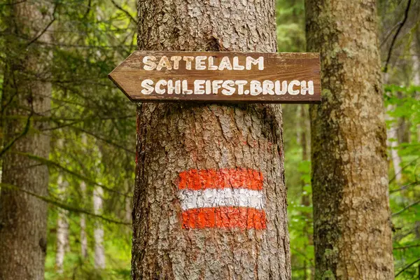 在Salzkammergut的Gosau附近的奥斯特里安阿尔卑斯山 — 图库照片