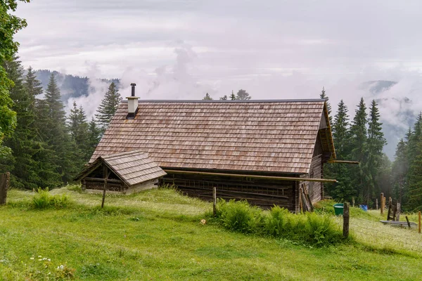 Szkammergut 'ta Gosau yakınlarındaki Avustralya Alplerinde yaz zamanı.