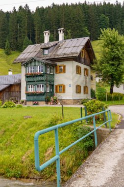 Szkammergut 'ta Gosau yakınlarındaki Avustralya Alplerinde yaz zamanı.