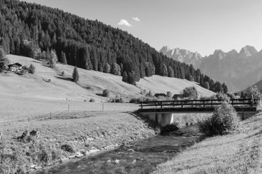 Szkammergut 'ta Gosau yakınlarındaki Avustralya Alplerinde yaz zamanı.