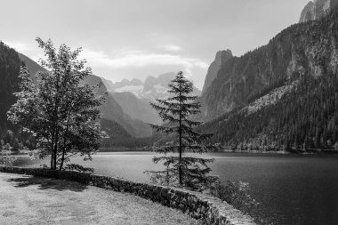 Szkammergut 'ta Gosau yakınlarındaki Avustralya Alplerinde yaz zamanı.