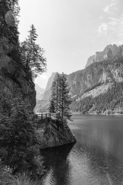 Szkammergut 'ta Gosau yakınlarındaki Avustralya Alplerinde yaz zamanı.