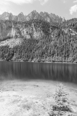 Szkammergut 'ta Gosau yakınlarındaki Avustralya Alplerinde yaz zamanı.