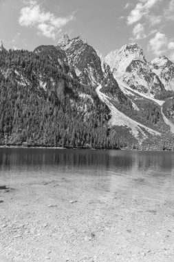 Szkammergut 'ta Gosau yakınlarındaki Avustralya Alplerinde yaz zamanı.