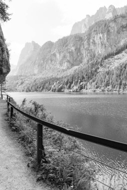 Szkammergut 'ta Gosau yakınlarındaki Avustralya Alplerinde yaz zamanı.