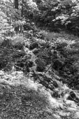 Szkammergut 'ta Gosau yakınlarındaki Avustralya Alplerinde yaz zamanı.