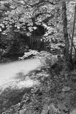 Szkammergut 'ta Gosau yakınlarındaki Avustralya Alplerinde yaz zamanı.