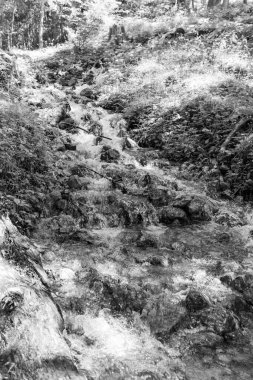 Szkammergut 'ta Gosau yakınlarındaki Avustralya Alplerinde yaz zamanı.