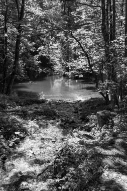 Szkammergut 'ta Gosau yakınlarındaki Avustralya Alplerinde yaz zamanı.