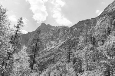 Szkammergut 'ta Gosau yakınlarındaki Avustralya Alplerinde yaz zamanı.