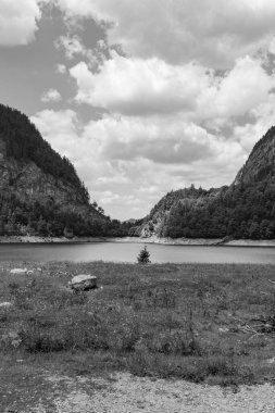 Szkammergut 'ta Gosau yakınlarındaki Avustralya Alplerinde yaz zamanı.