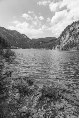 Szkammergut 'ta Gosau yakınlarındaki Avustralya Alplerinde yaz zamanı.