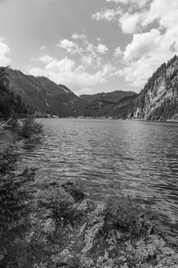 Szkammergut 'ta Gosau yakınlarındaki Avustralya Alplerinde yaz zamanı.