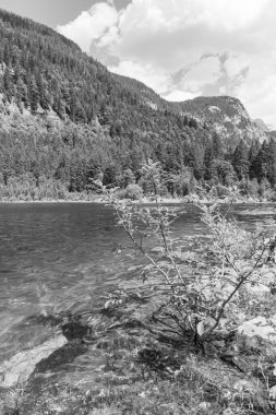 Szkammergut 'ta Gosau yakınlarındaki Avustralya Alplerinde yaz zamanı.