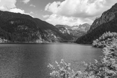 Szkammergut 'ta Gosau yakınlarındaki Avustralya Alplerinde yaz zamanı.