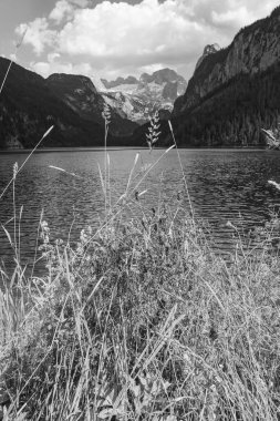 Szkammergut 'ta Gosau yakınlarındaki Avustralya Alplerinde yaz zamanı.