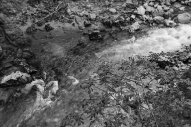 Szkammergut 'ta Gosau yakınlarındaki Avustralya Alplerinde yaz zamanı.